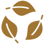 Sustainable yet Delicious