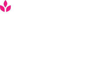 Jegy